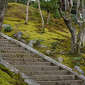DSC01843.JPG