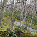 DSC01844.JPG