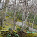 DSC01845.JPG