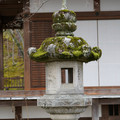 DSC01846.JPG