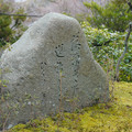 DSC01847.JPG