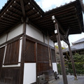DSC01849.JPG