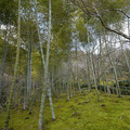 DSC01850.JPG