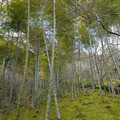 DSC01851.JPG