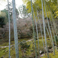 DSC01852.JPG