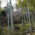 DSC01853.JPG