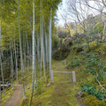 DSC01854.JPG