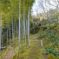 DSC01855.JPG