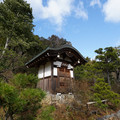 DSC01856.JPG