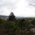 DSC01860.JPG
