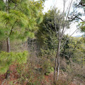 DSC01861.JPG