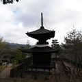 DSC01862.JPG
