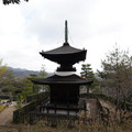 DSC01863.JPG