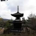 DSC01864.JPG