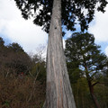 DSC01865.JPG