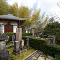 DSC01866.JPG