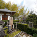 DSC01867.JPG