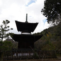 DSC01869.JPG