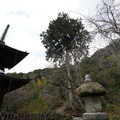 DSC01870.JPG