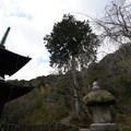 DSC01871.JPG