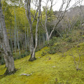 DSC01872.JPG