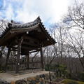 DSC01875.JPG