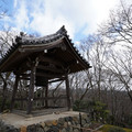 DSC01876.JPG
