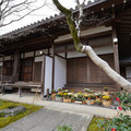 DSC01877.JPG