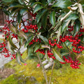 DSC01878.JPG