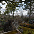DSC01879.JPG