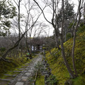 DSC01880.JPG