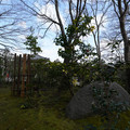 DSC01881.JPG