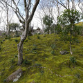 DSC01882.JPG