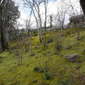 DSC01883.JPG