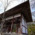 DSC01884.JPG