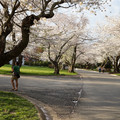 DSC01888.JPG