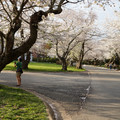 DSC01889.JPG