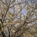 DSC01890.JPG