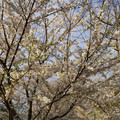 DSC01891.JPG