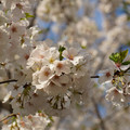 DSC01892.JPG