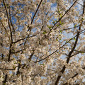 DSC01895.JPG