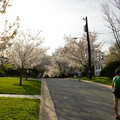 DSC01897.JPG