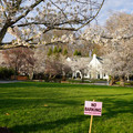 DSC01899.JPG