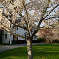 DSC01900.JPG
