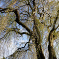 DSC01904.JPG