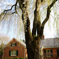 DSC01905.JPG
