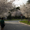 DSC01906.JPG