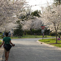 DSC01907.JPG