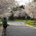 DSC01908.JPG