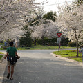 DSC01909.JPG